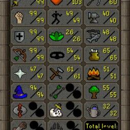 マックスインファナルメイン 攻撃99 / 防御99 / 筋力99 / 射撃兵99 / 魔法94 / バロウズグローブ+ルナー外交 / ジャドペット+変身 / 未登録メール! 2
